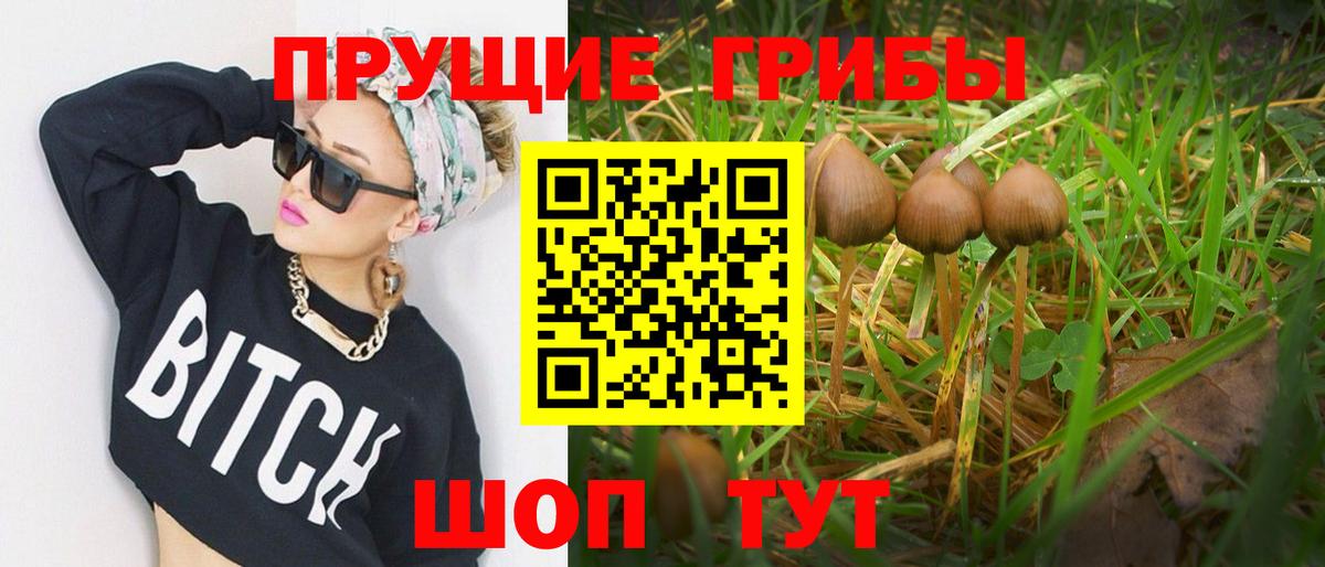 Галлюциногенные грибы мицелий  Псилоцибиновые грибы мухоморы  Вход с VPN  Октябрьский 